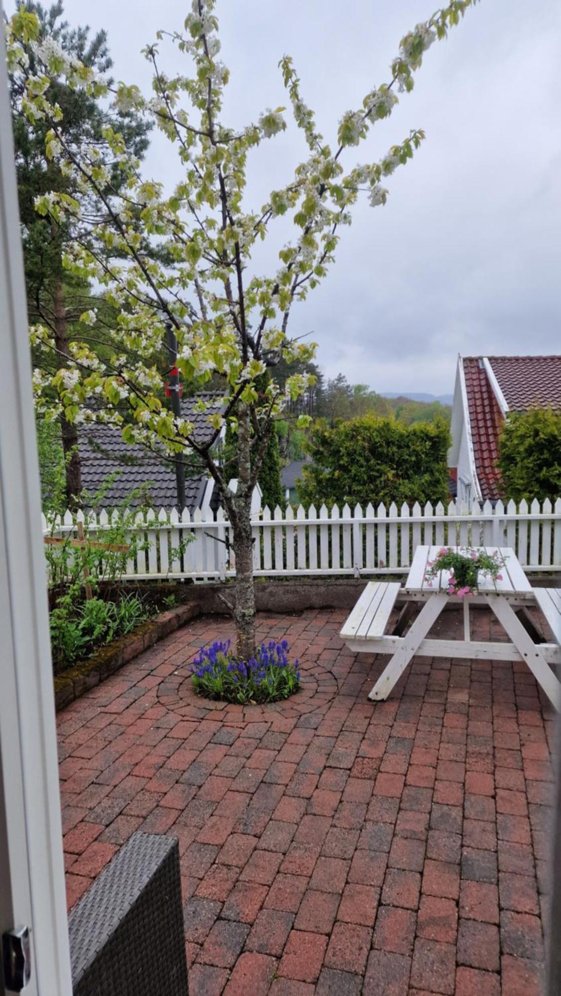 Cosy Flat For 4 Persons Daire Kristiansand Oda fotoğraf